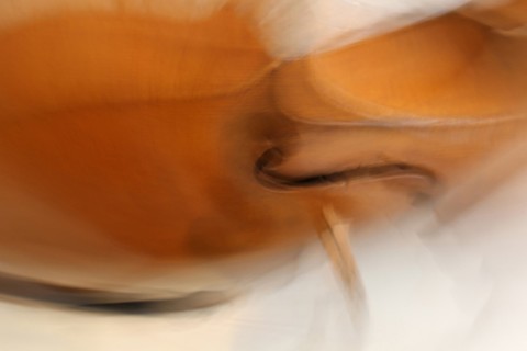 Ivresse