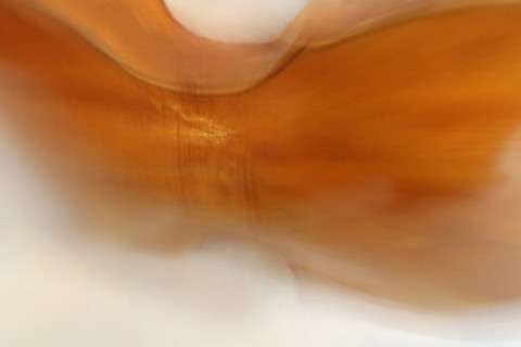 Ivresse # 1
