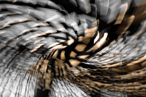 MUCEM#08_site