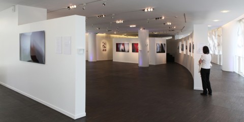 IMG_0545_1