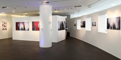IMG_0517_1