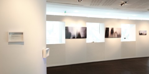 IMG_0530_1